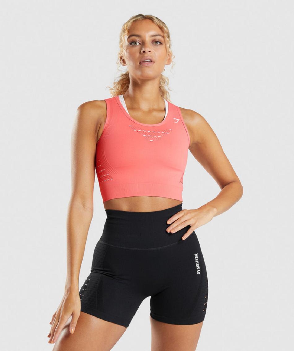 Corp Tops Gymshark Energy Seamless Mujer Rosas | CO 2537RVD